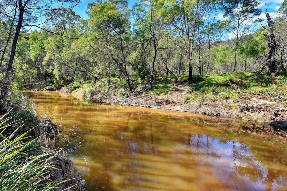 Photo of Others in Murrays Run