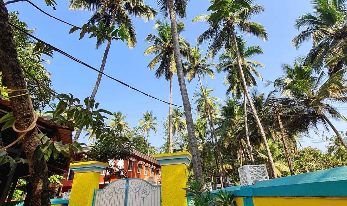 Photo of Outdoor in Vagator