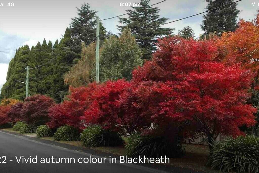 Photo of Outdoor in Blackheath