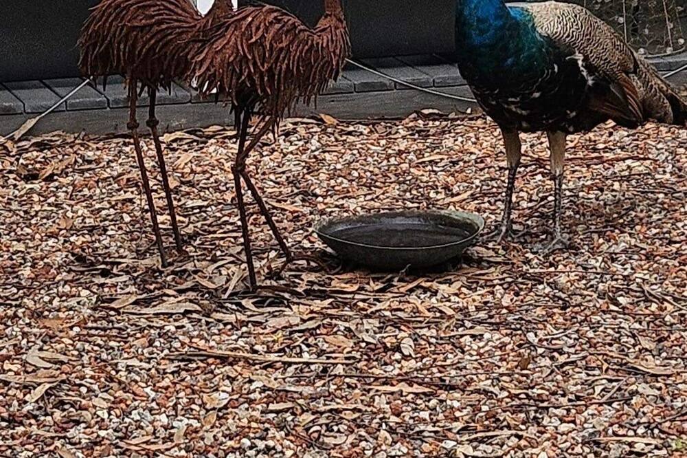 Photo of Others in Sutton Forest