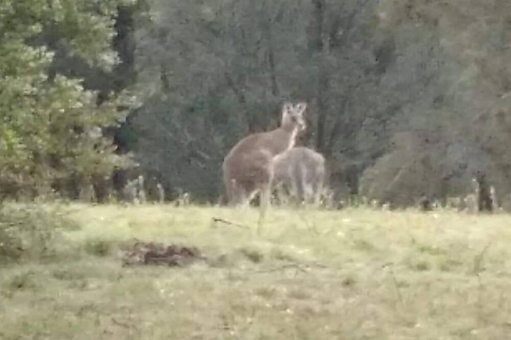 Photo of Others in Sutton Forest