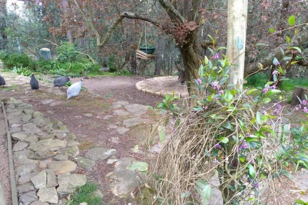 Photo of Others in Sutton Forest