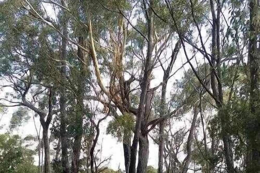 Photo of Others in Sutton Forest