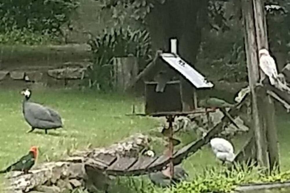 Photo of Others in Sutton Forest