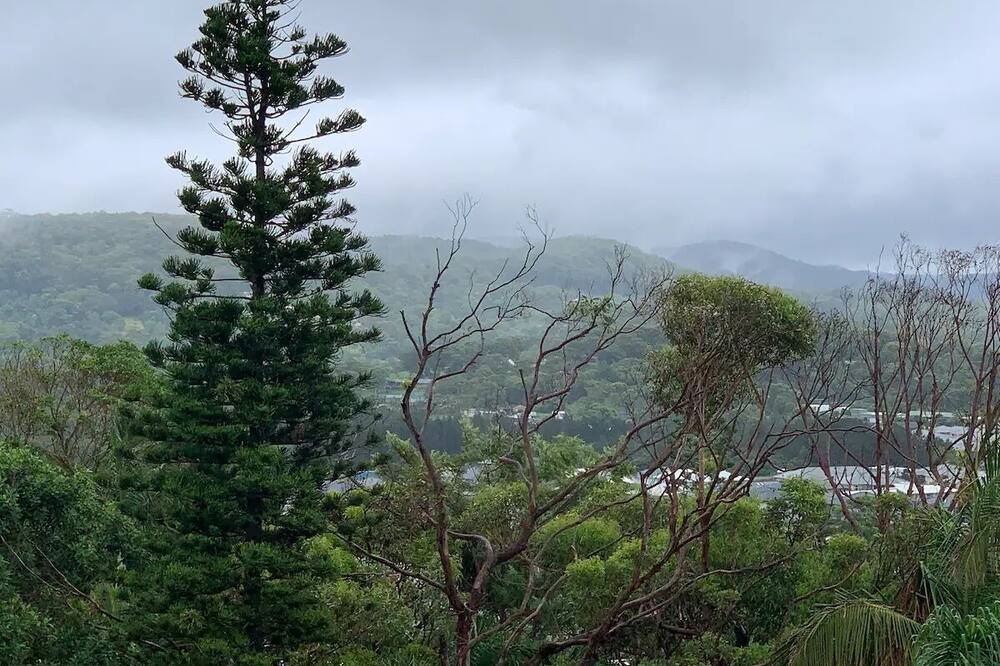 Photo of Others in Central Coast