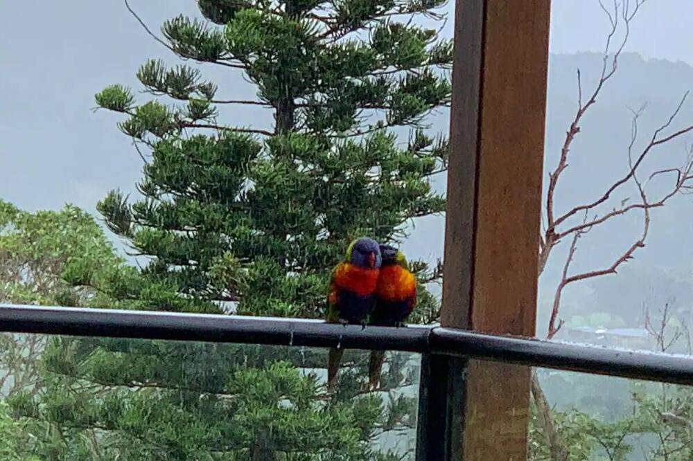 Photo of Patio Balcony in Central Coast