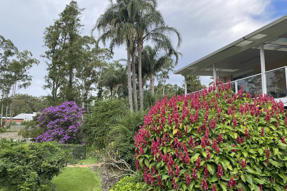 Photo of Outdoor in Erina Heights