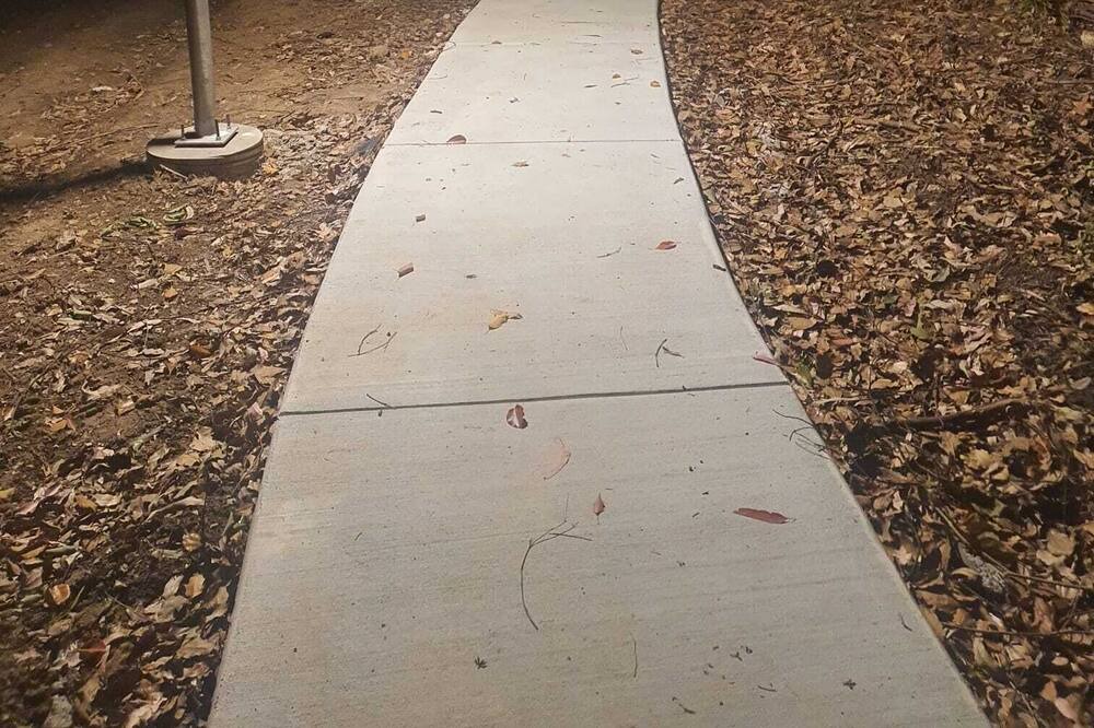 Photo of Others in Erina Heights