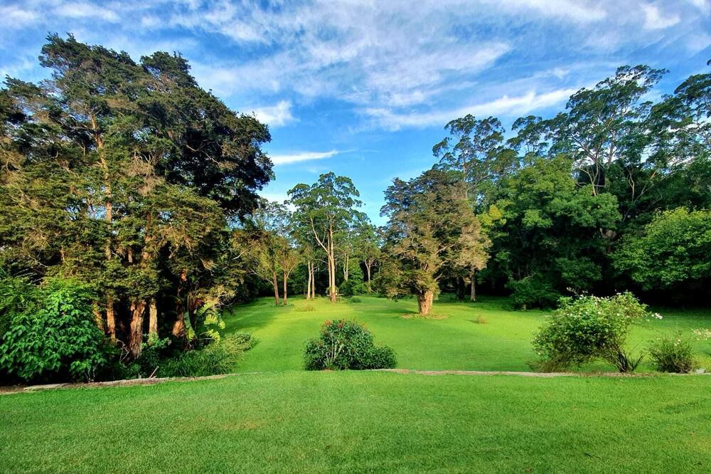 Photo of Outdoor in Erina Heights