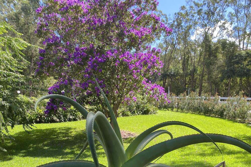 Photo of Outdoor in Erina Heights