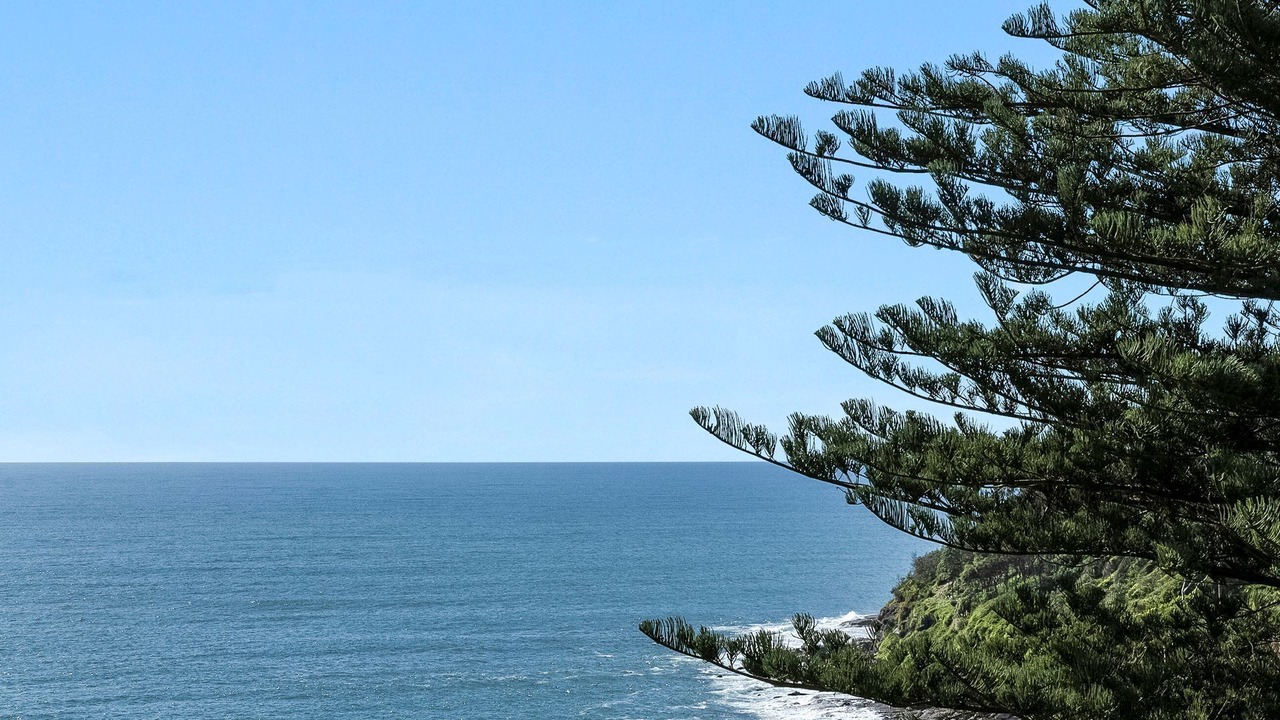 Photo of Others in Whale Beach
