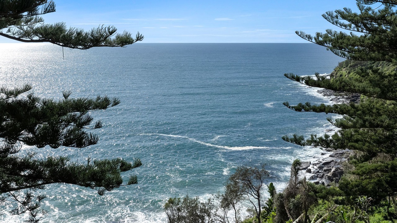 Photo of Others in Whale Beach