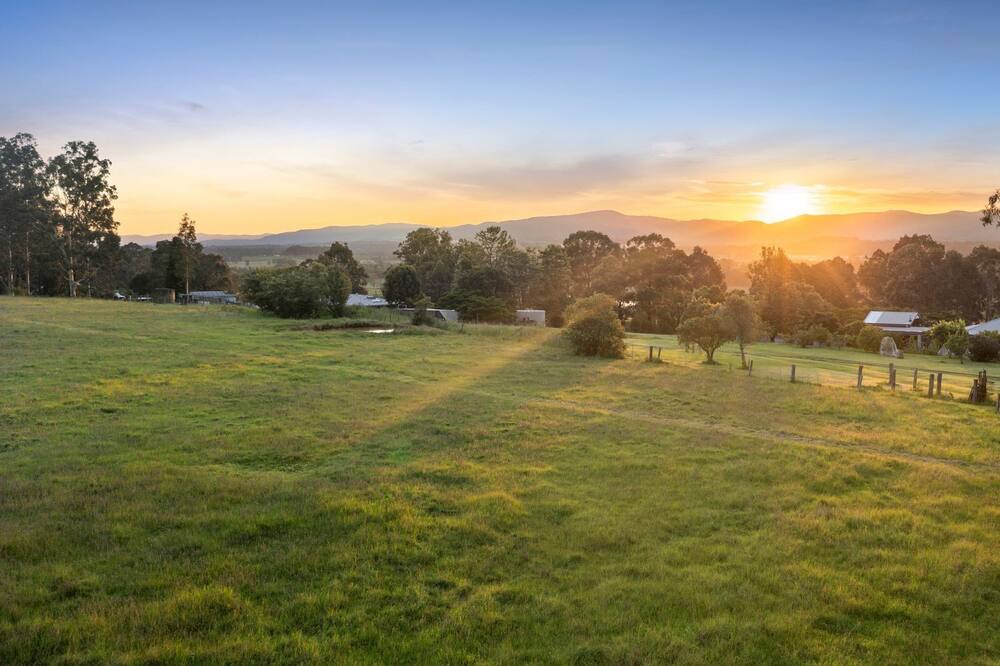 Photo of Outdoor in Lovedale