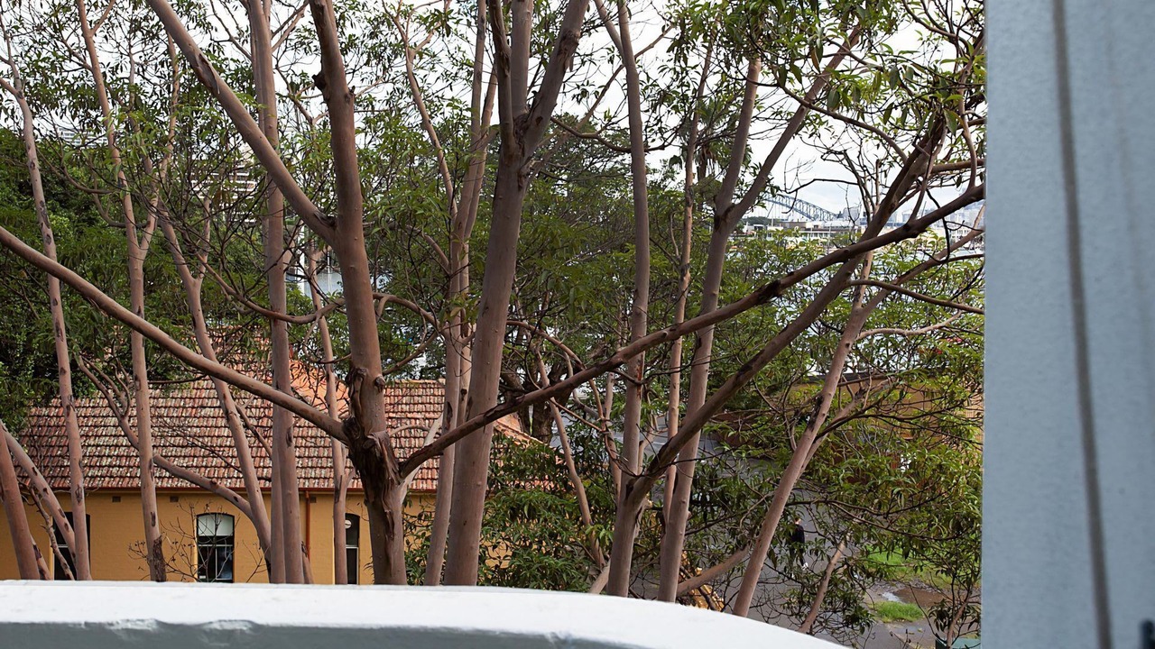 Photo of Outdoor in Darling Point