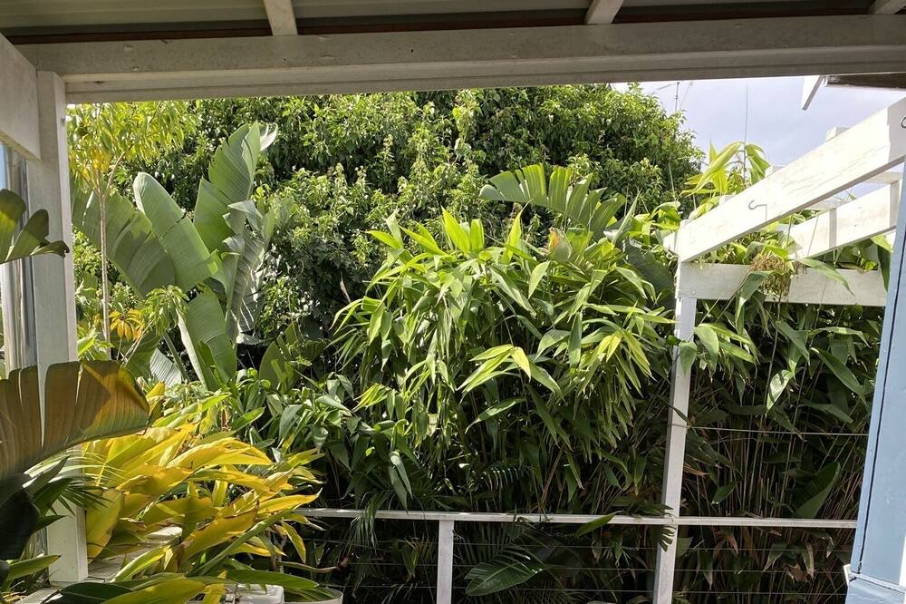 Photo of Patio Balcony in Booker Bay