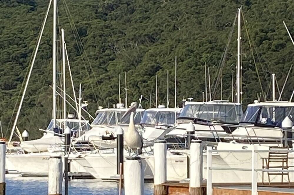 Photo of Outdoor in Booker Bay