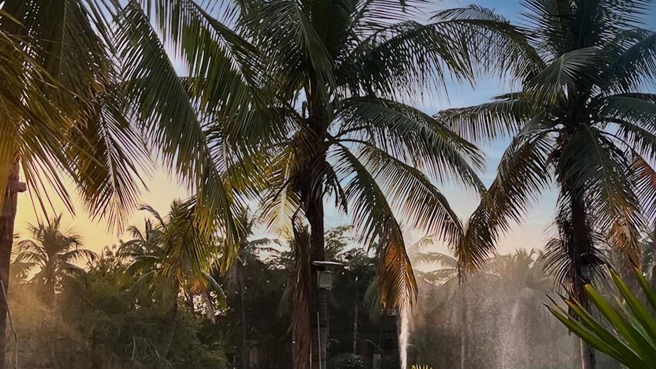 Photo of Outdoor in Matar