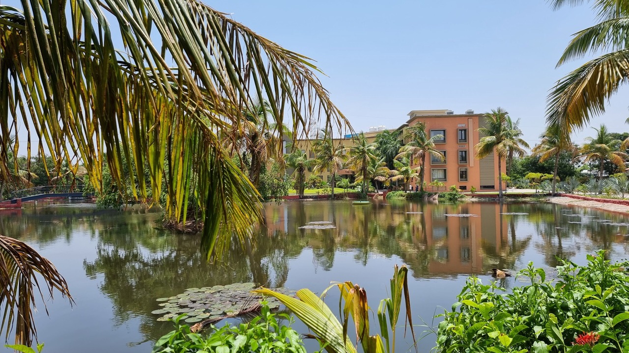 Photo of Outdoor in Matar