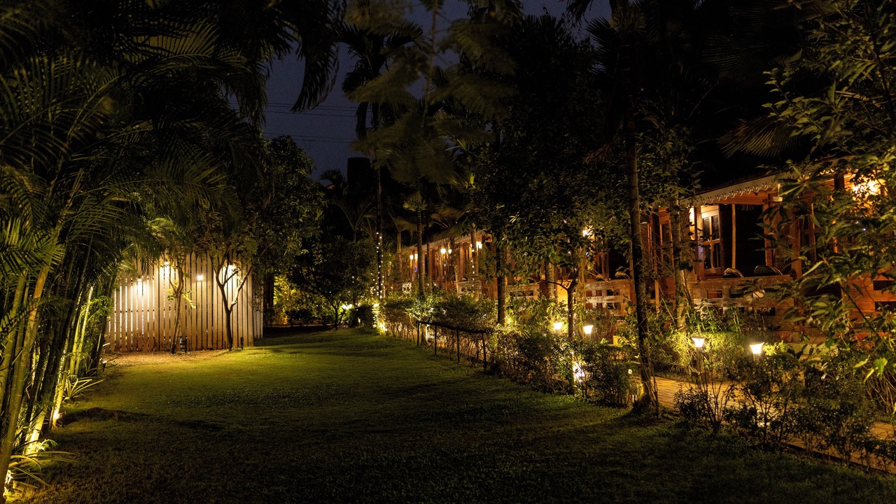 Photo of Outdoor in Arambol