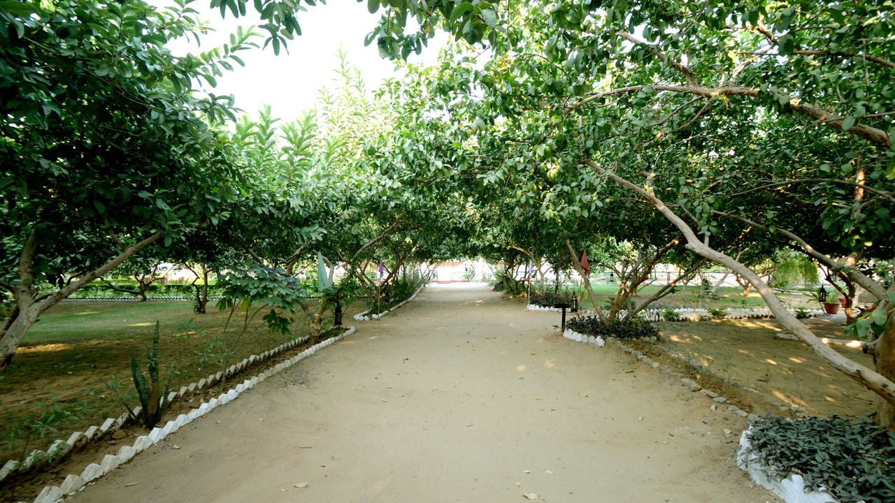 Photo of Others in Sawai Madhopur