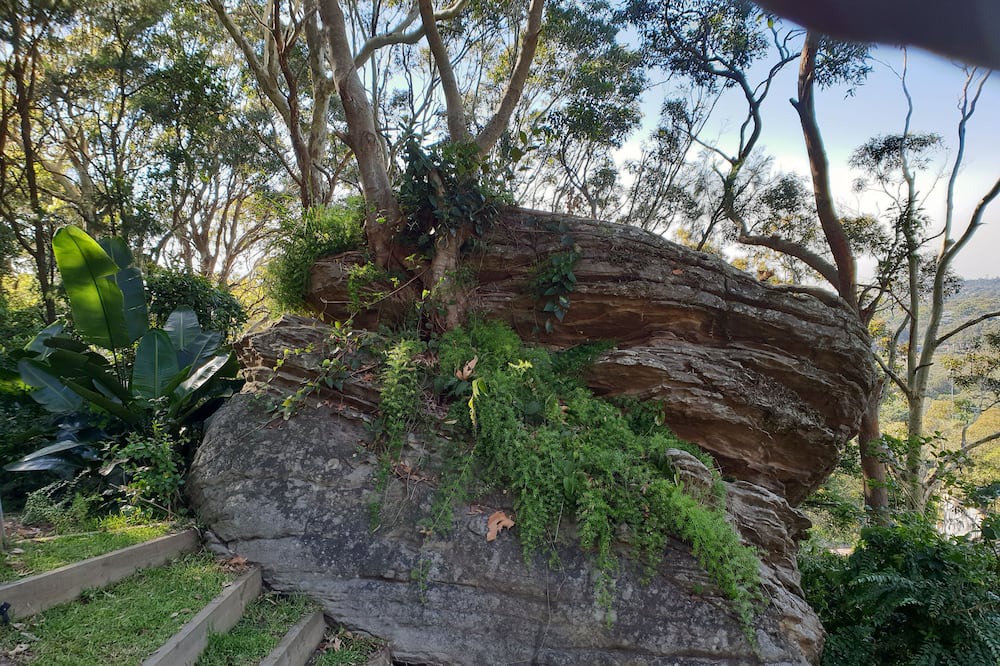 Photo of Outdoor in Whale Beach