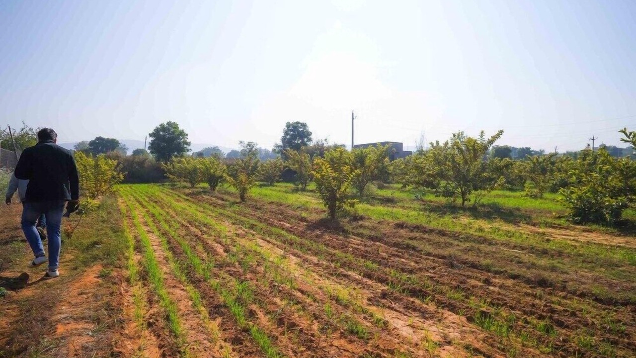 Photo of Outdoor in Sawai Madhopur
