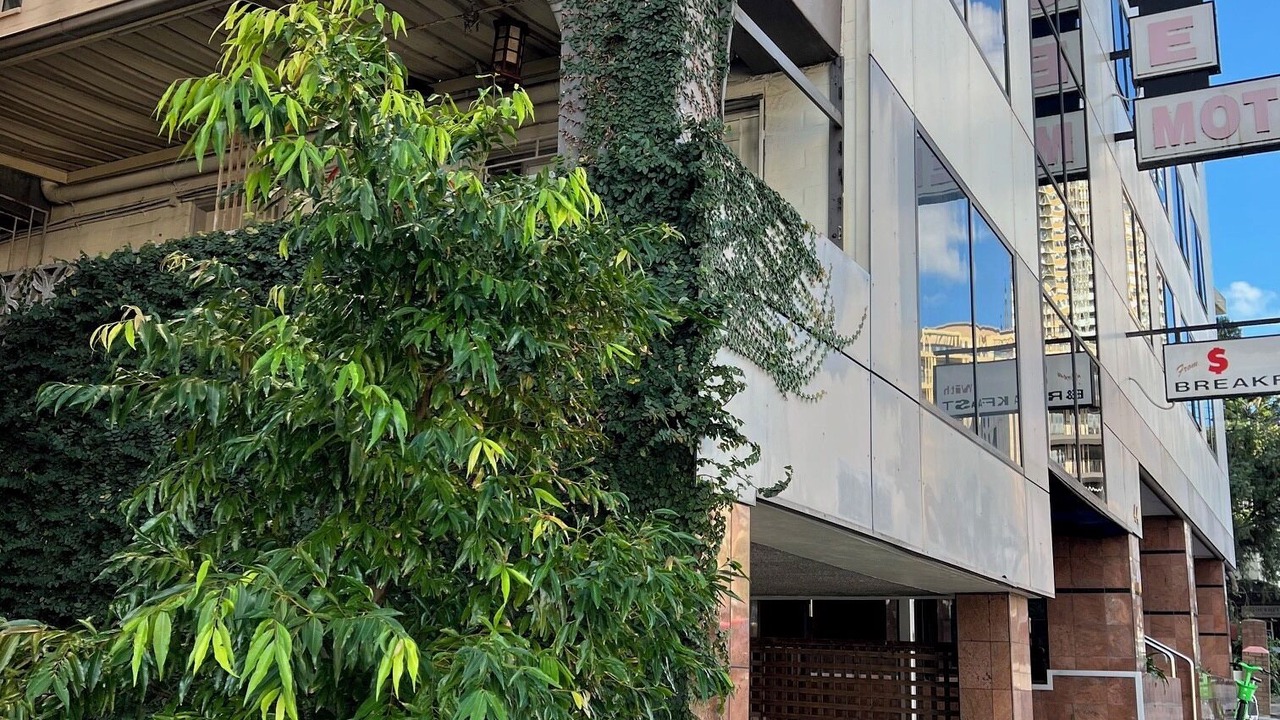 Photo of Outdoor in Edgecliff
