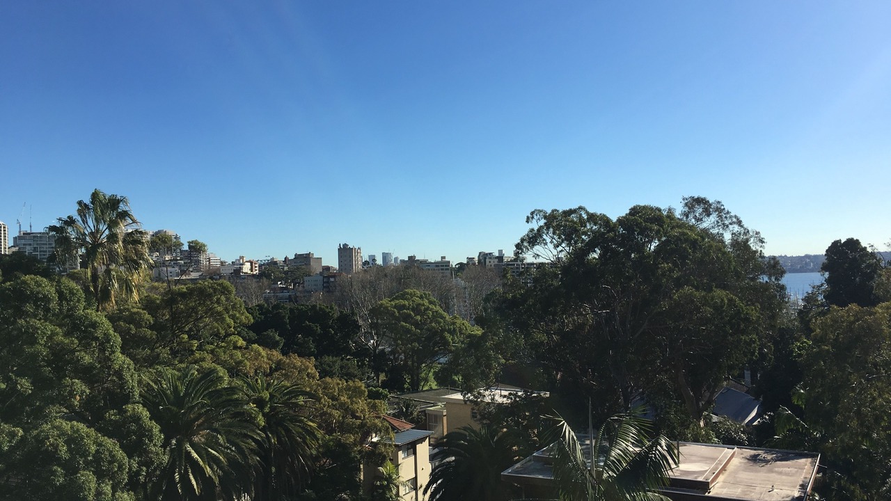 Photo of Others in Edgecliff
