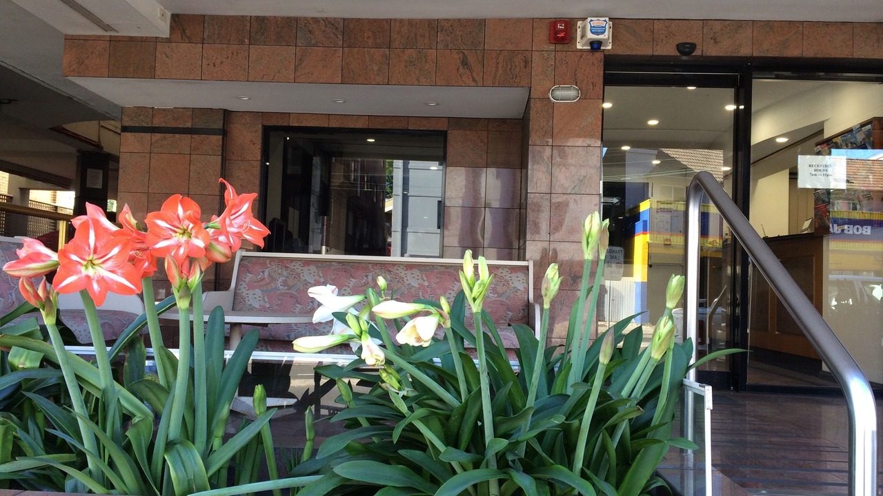 Photo of Outdoor in Edgecliff