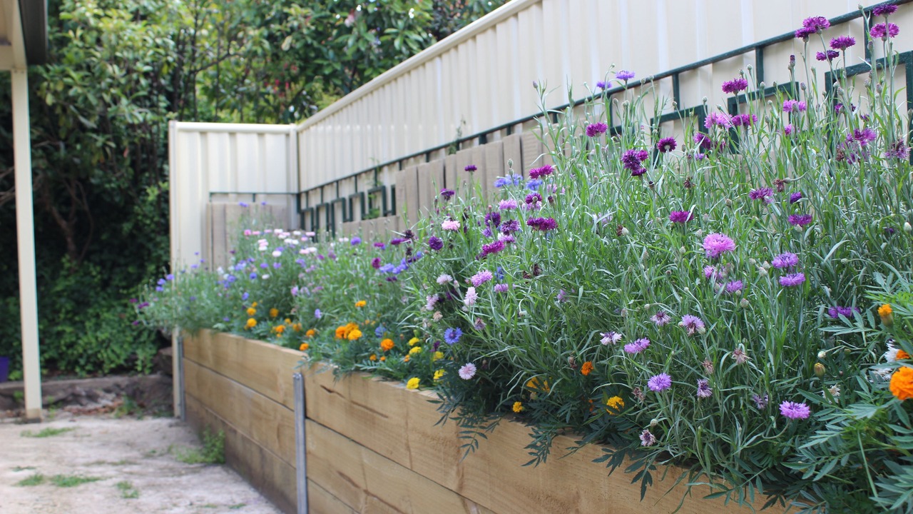 Photo of Outdoor in Blackheath