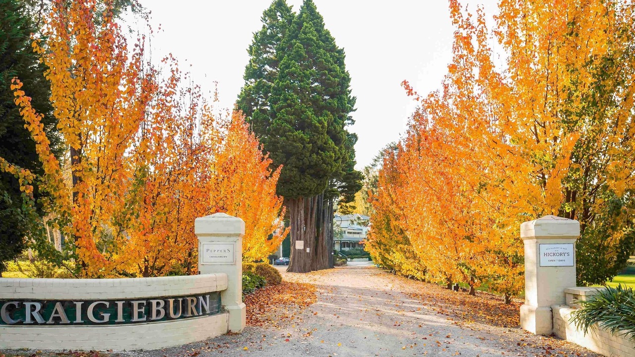Photo of Others in Bowral