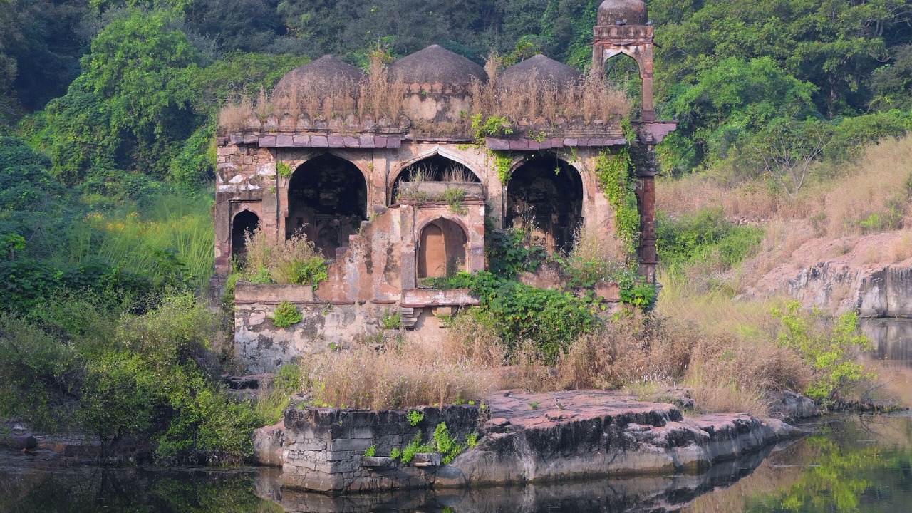 Photo of Outdoor in Sawai Madhopur