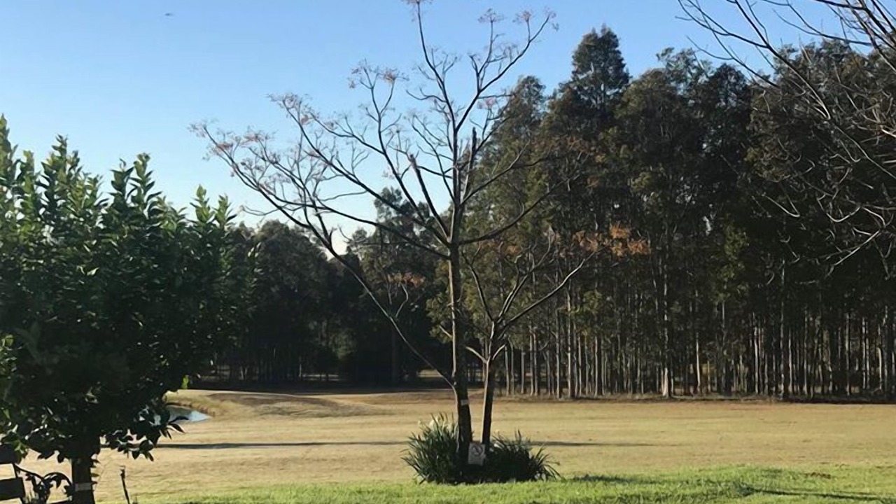 Photo of Outdoor in Pokolbin