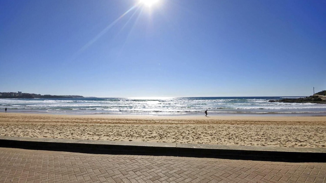 Photo of Others in Manly