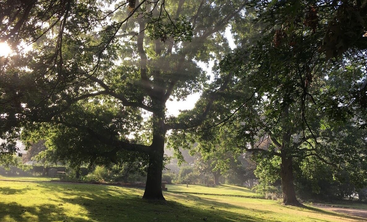 Photo of Outdoor in Tirrannaville