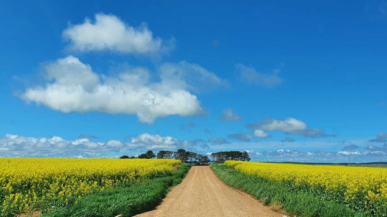 Photo of Outdoor in Tirrannaville