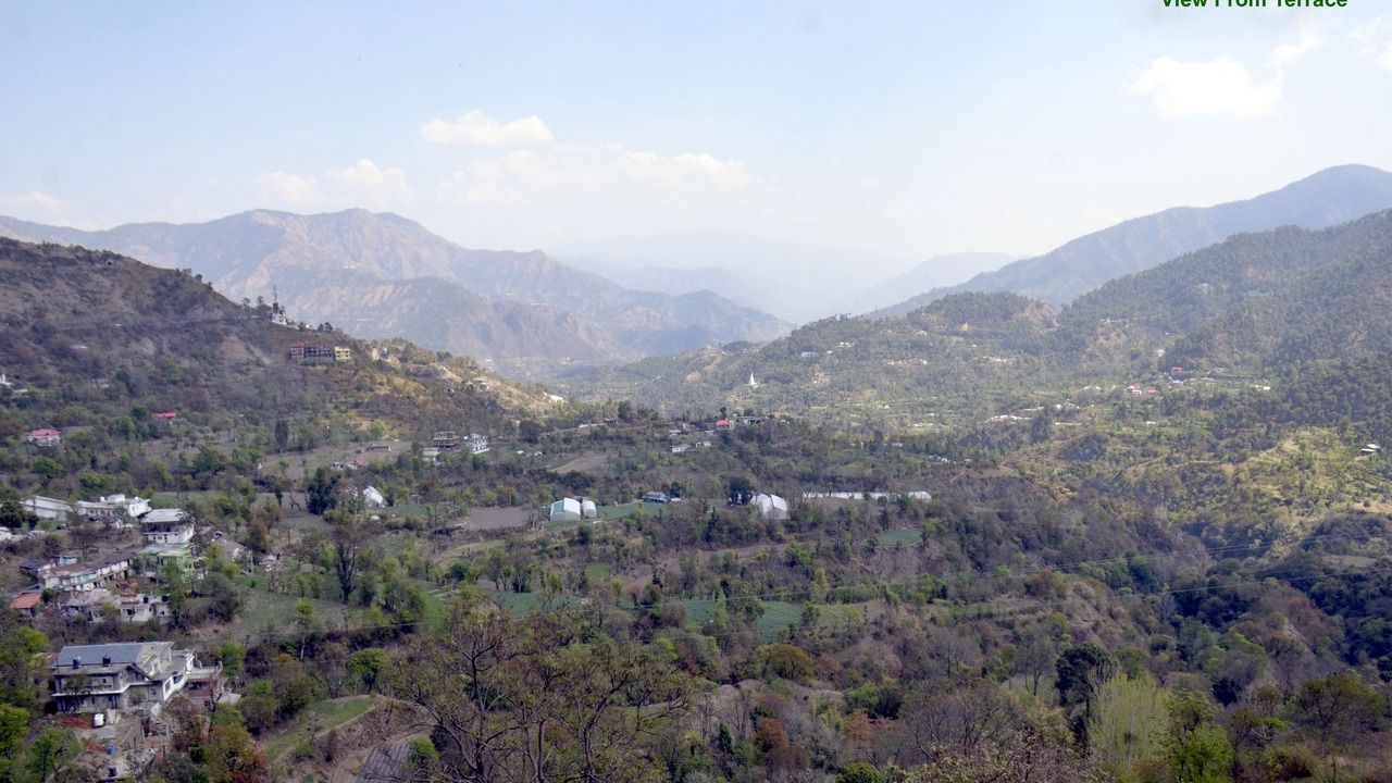 Photo of Others in Solan