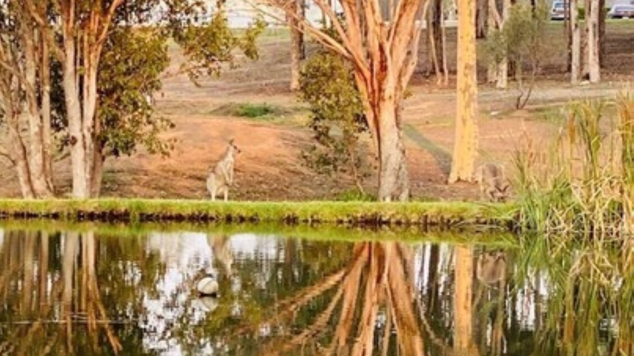 Photo of Outdoor in Pokolbin