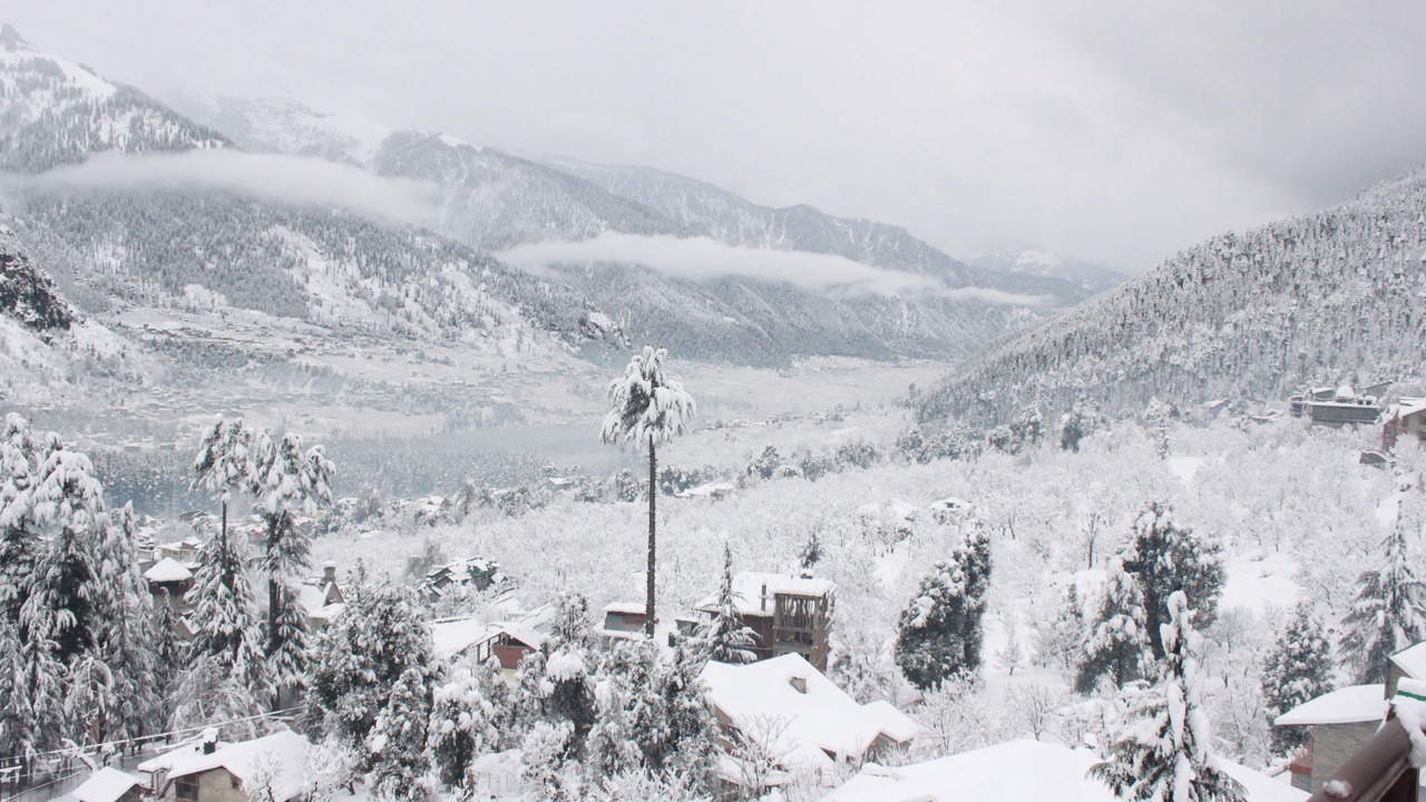 Photo of Others in Manali