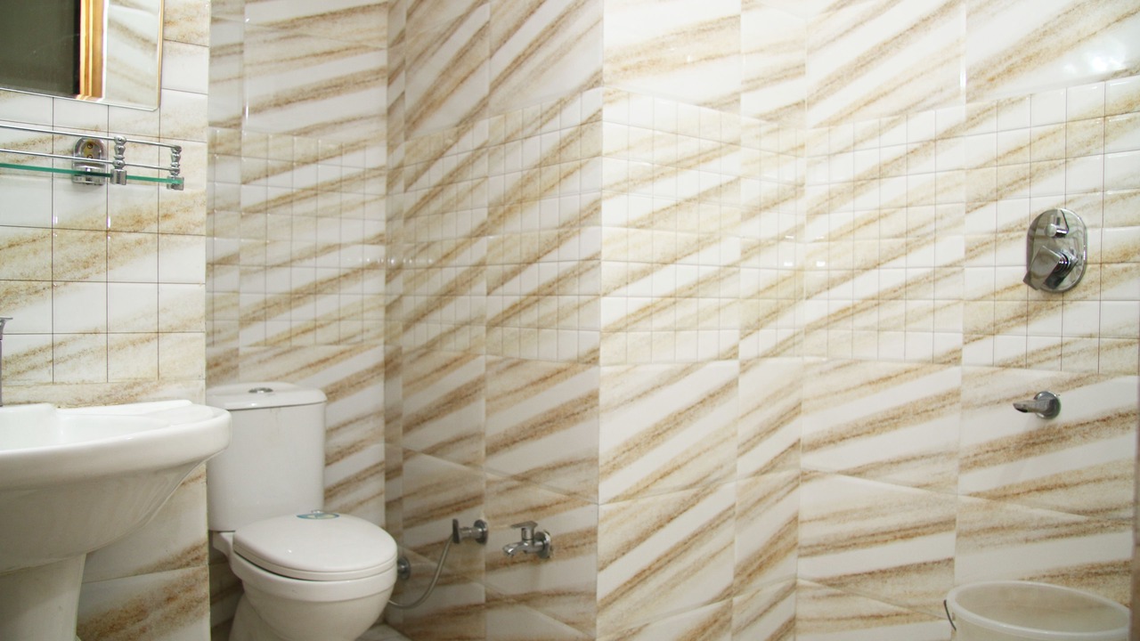 Photo of Bathroom in Manali