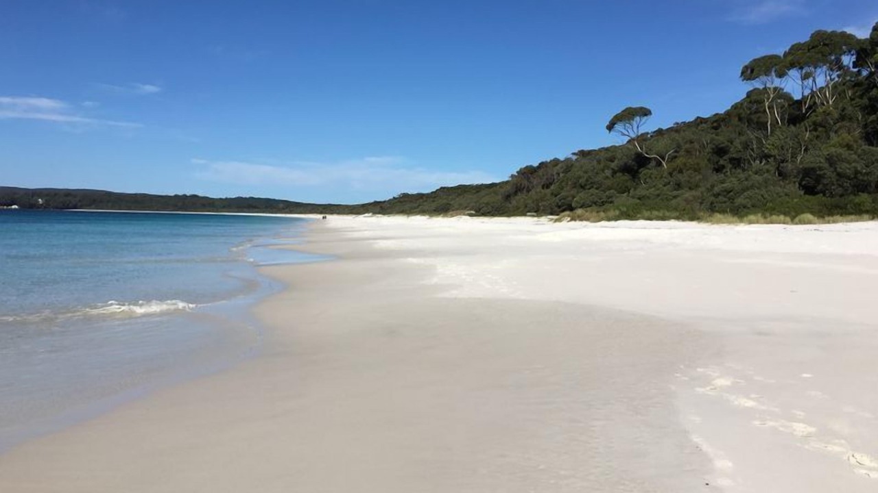 Photo of Others in Hyams Beach