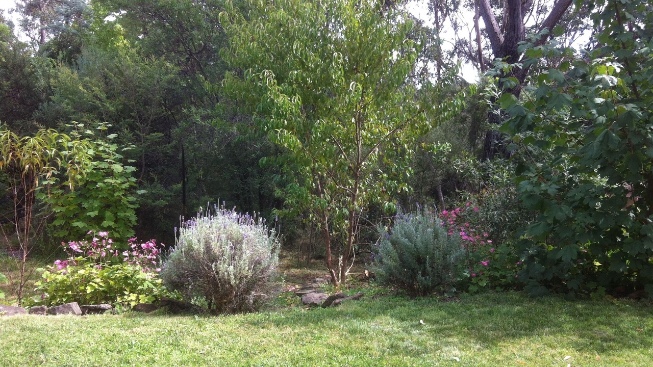 Photo of Outdoor in Blackheath