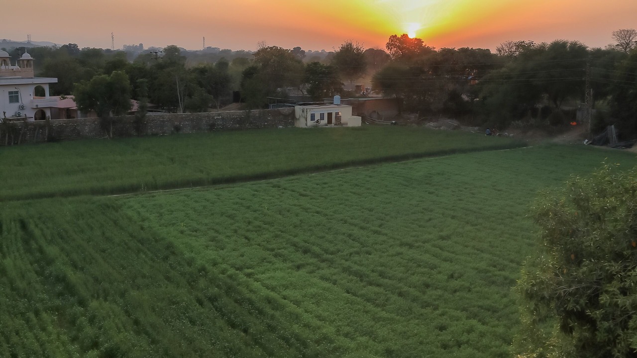 Photo of Outdoor in Sawai Madhopur
