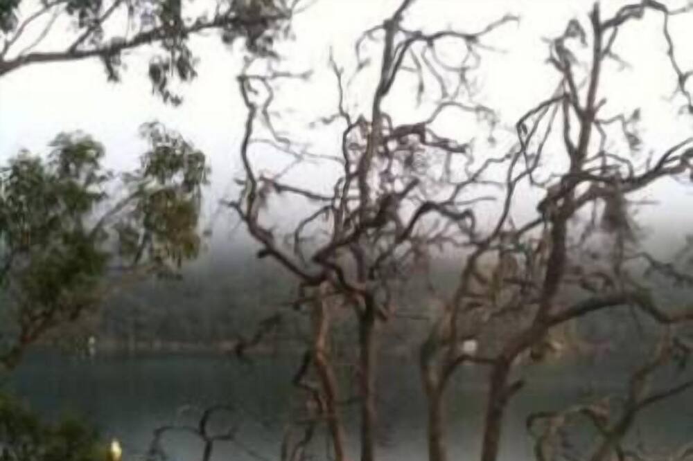 Photo of Outdoor in Cottage Point