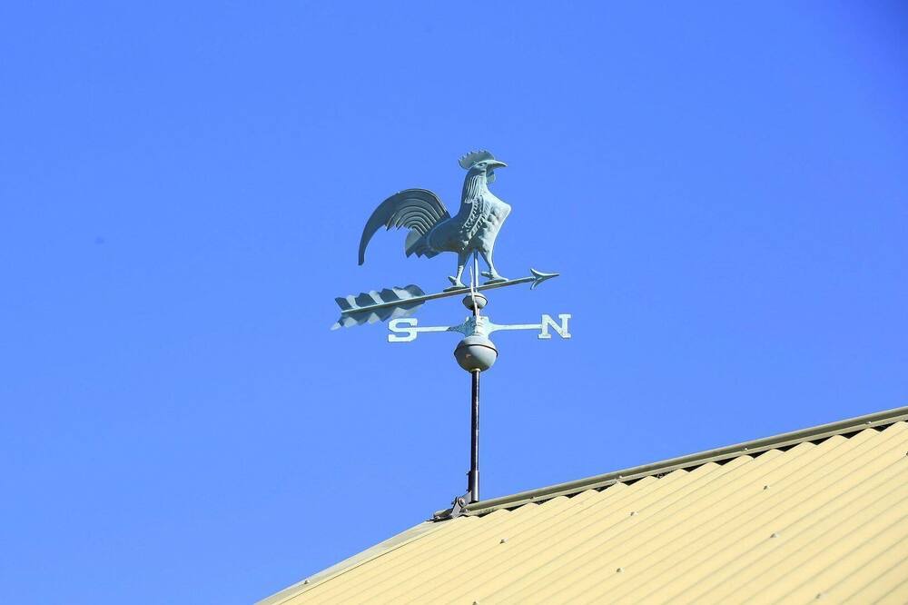 Photo of Others in Mittagong