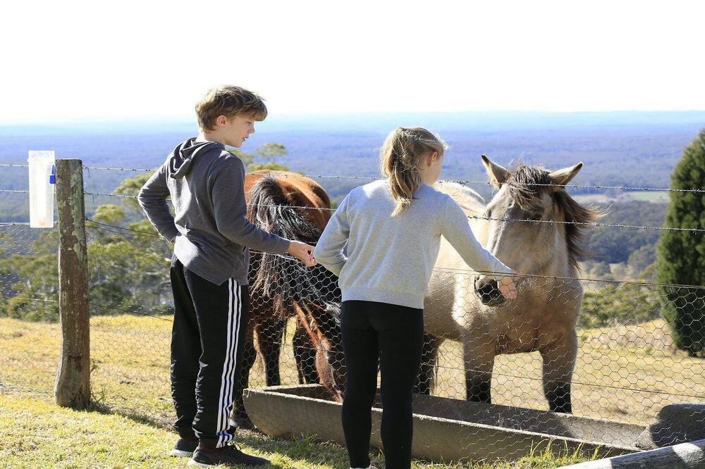 Photo of Others in Mittagong