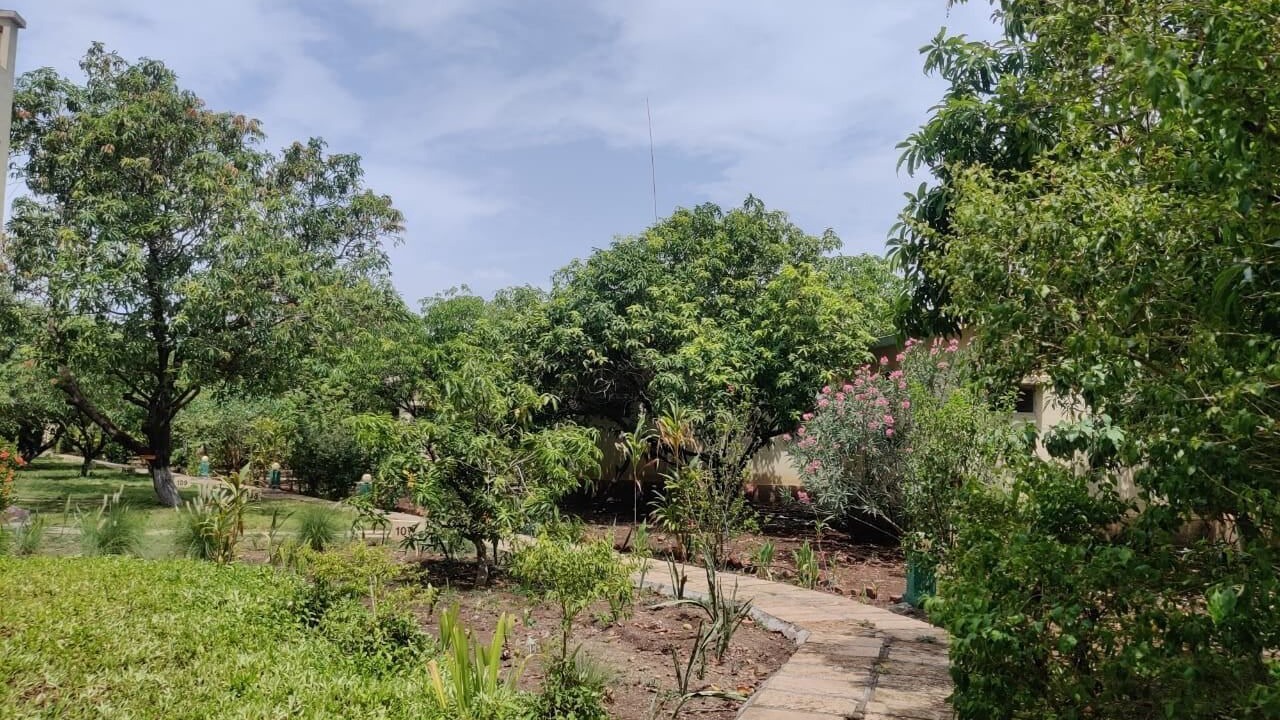 Photo of Outdoor in Talala