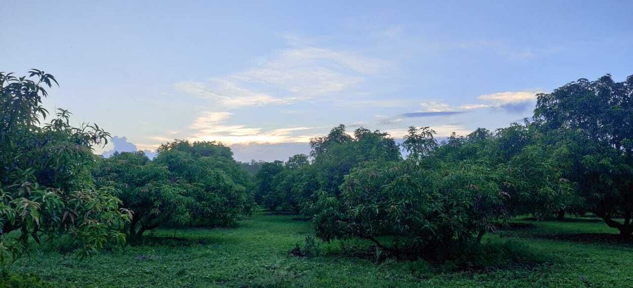 Photo of Outdoor in Talala
