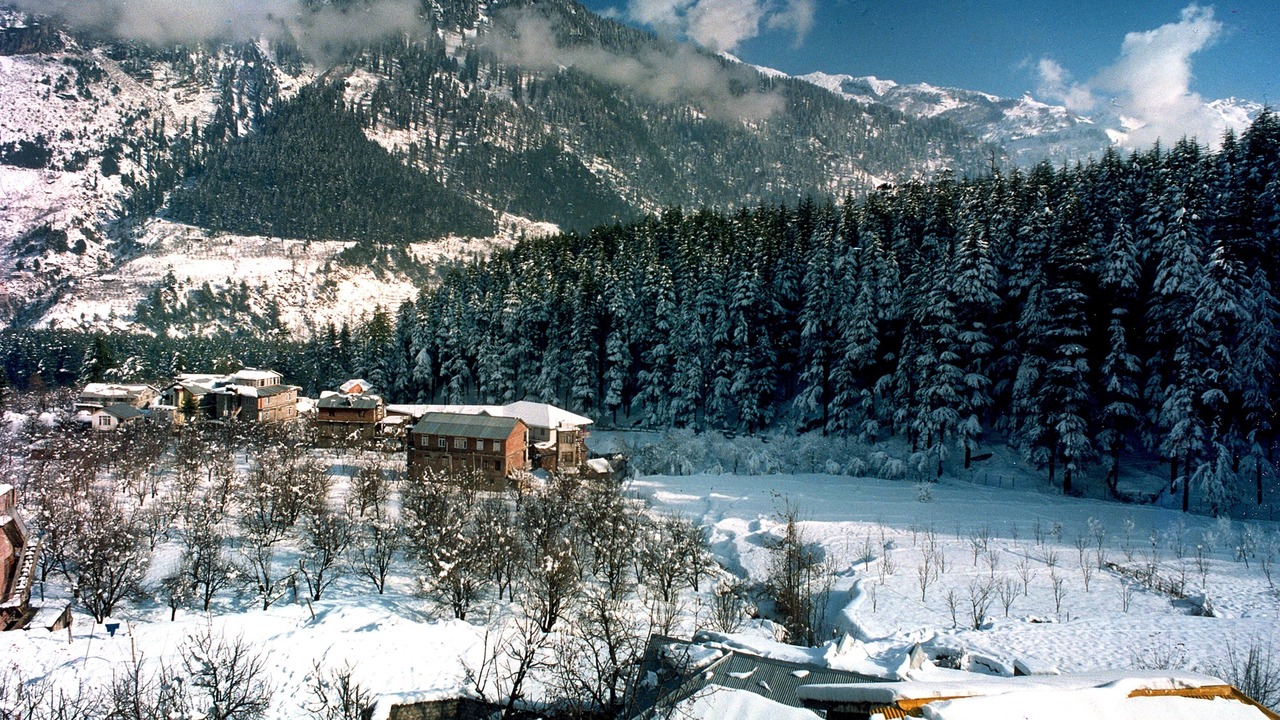 Photo of Others in Old Manali