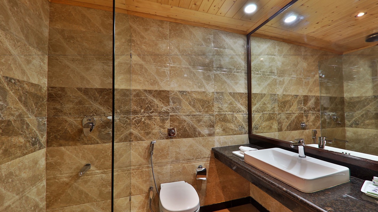 Photo of Bathroom in Old Manali